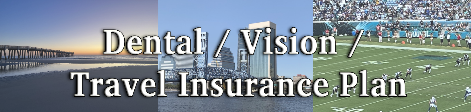 Dental,Vision and Travel Insurance